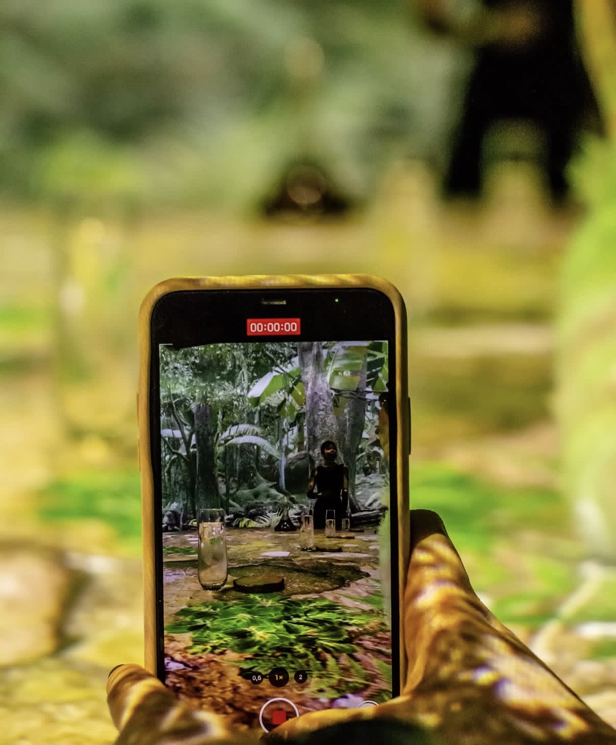 Phone capturing the Amazon jungle projection